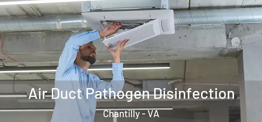 Air Duct Pathogen Disinfection Chantilly - VA