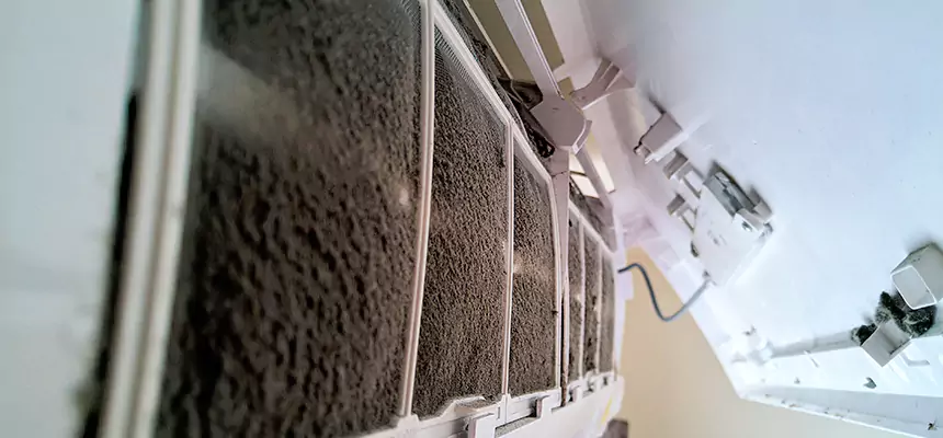 Preventive Air Duct Bacteria Removal in Chantilly