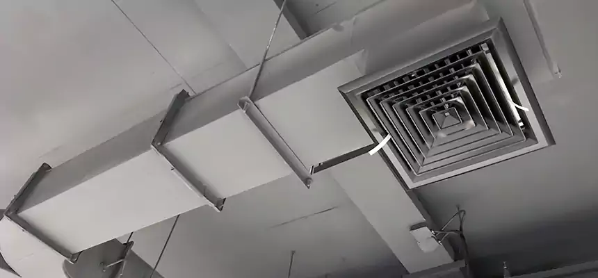 Restorative Allergy Relief Vent Cleaning – Coil, Blower & Housing Detail in Chantilly