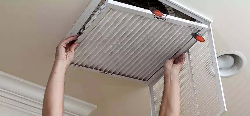 Our Insect Removal from Air Ducts Services in Chantilly, VA