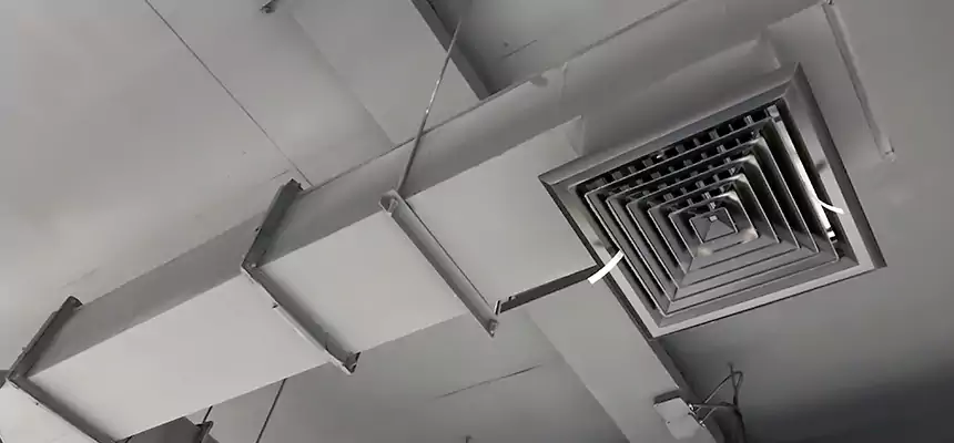 Our Rodent Droppings In Vents Services in Chantilly, VA