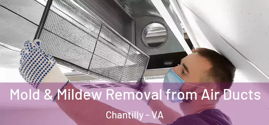 Mold & Mildew Removal from Air Ducts Chantilly - VA