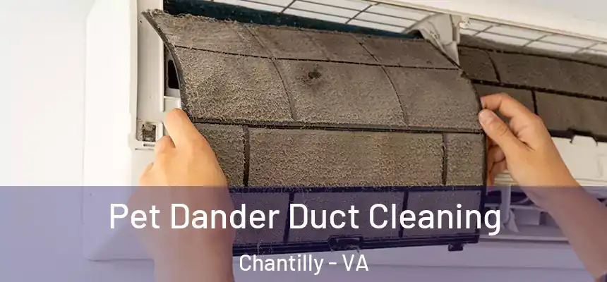 Pet Dander Duct Cleaning Chantilly - VA
