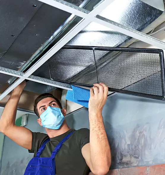 Professional Air Duct Pollen Cleaning in Chantilly, VA