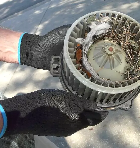 About Air Duct Rat Removal in Chantilly, VA