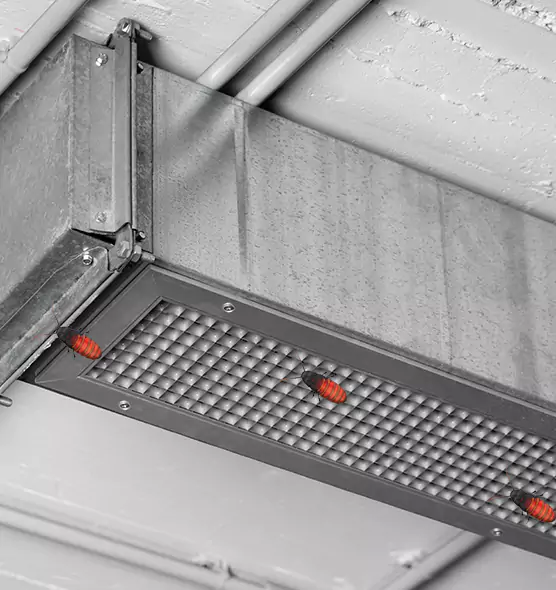 Affordable Insect Removal from Air Ducts in Chantilly, VA