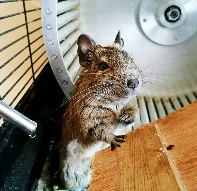 Why Homeowners & Businesses Trust Us Chantilly, VA