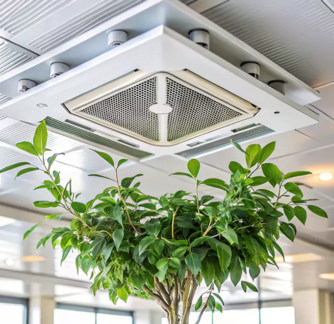 Why Homeowners & Businesses Trust Us in Chantilly, VA